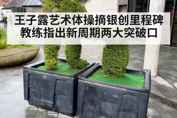 王子露艺术体操摘银创里程碑 教练指出新周期两大突破口